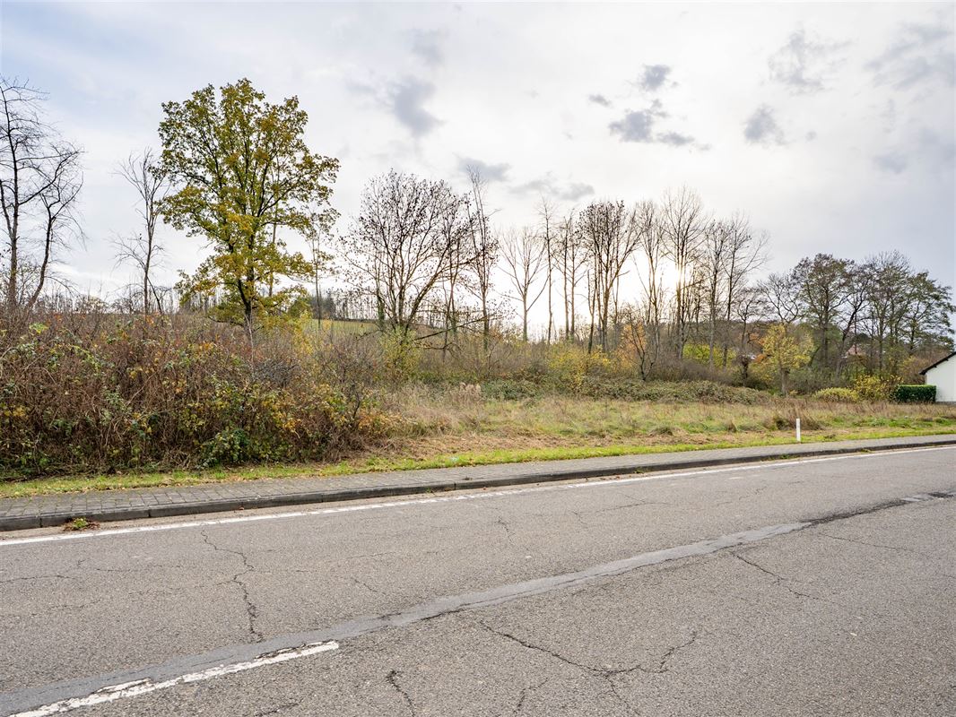 Terrain Tellin-02558