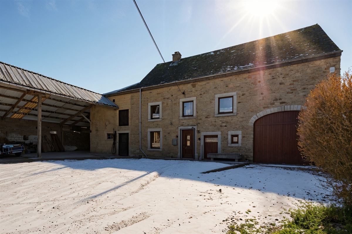 undefined-undefined-gepetto (13).jpg