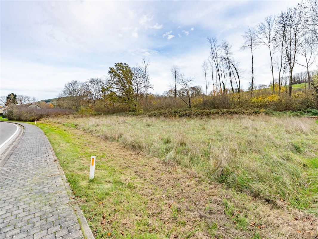 Terrain Tellin-02565