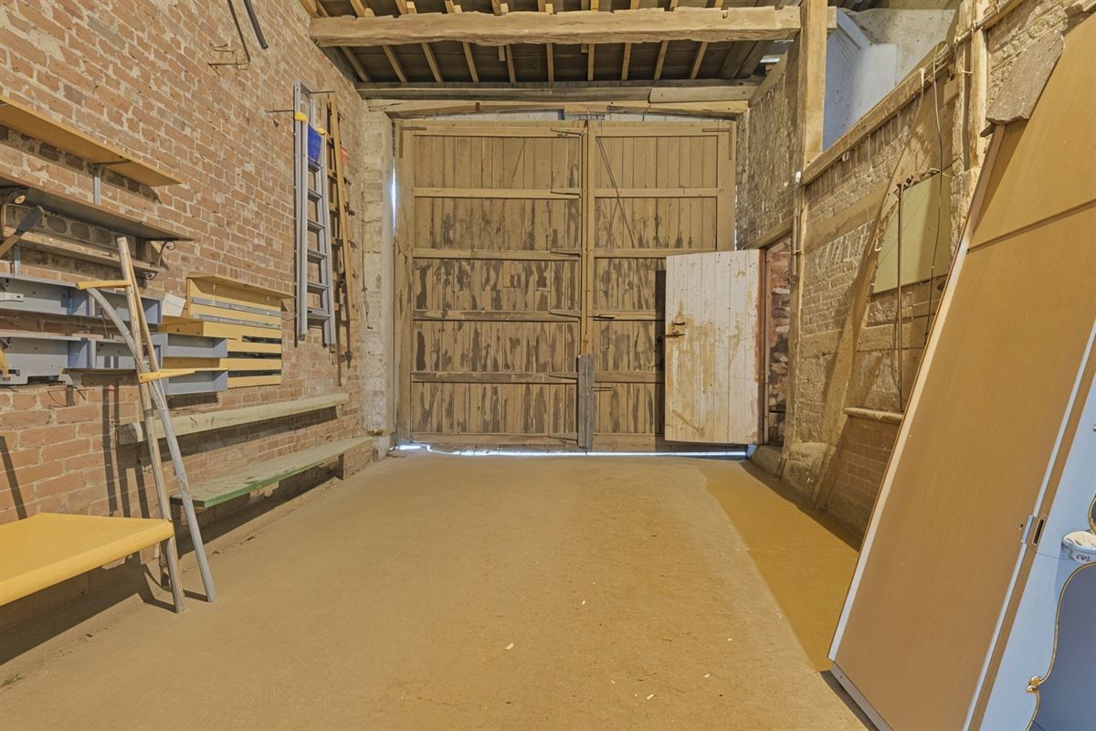 undefined-undefined-gepetto (16).jpg