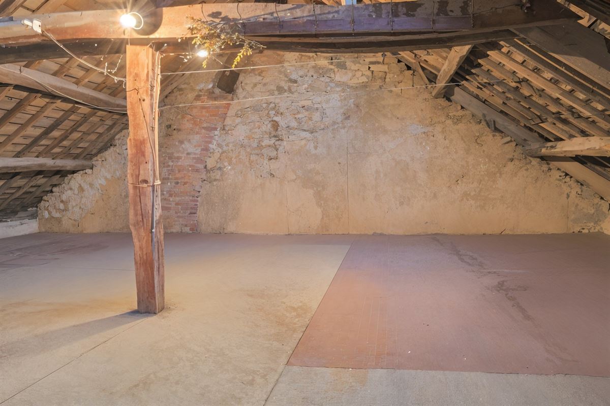 undefined-undefined-gepetto (17).jpg