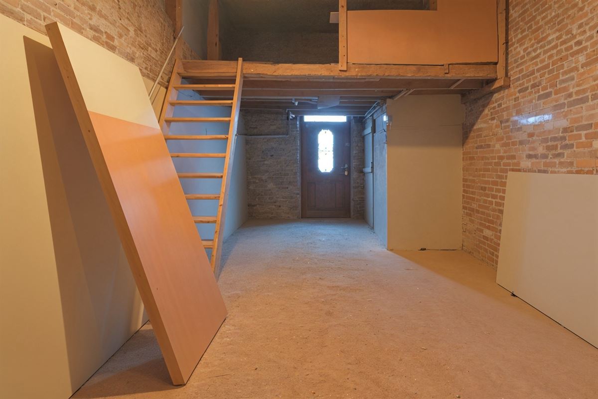 undefined-undefined-gepetto (15).jpg