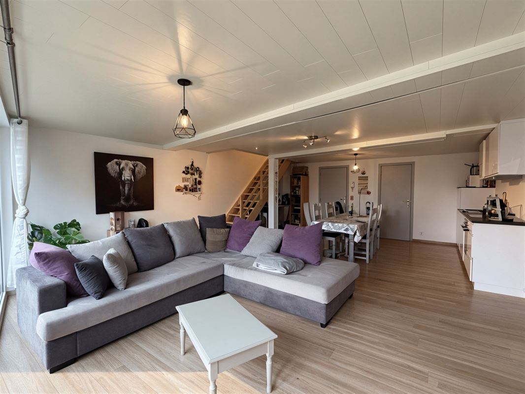 undefined-undefined-gepetto (1).jpg