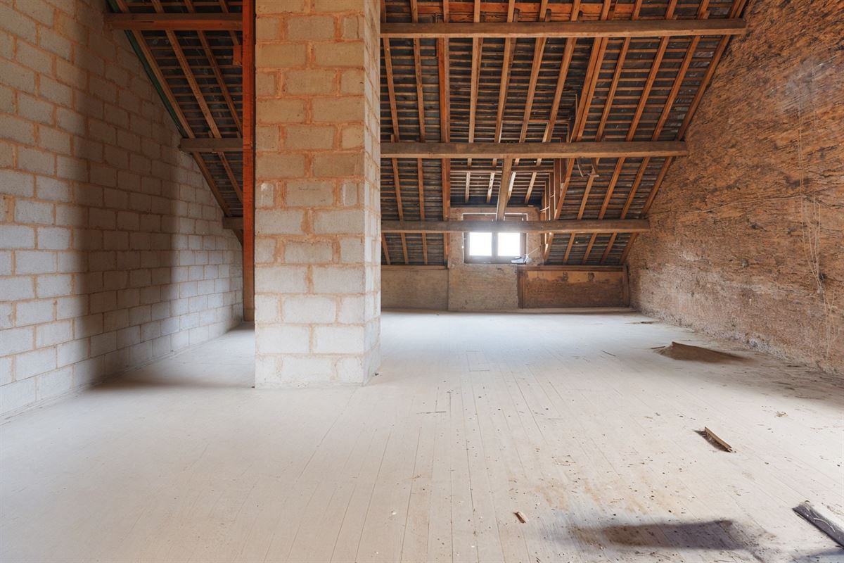 undefined-undefined-gepetto (5).jpg