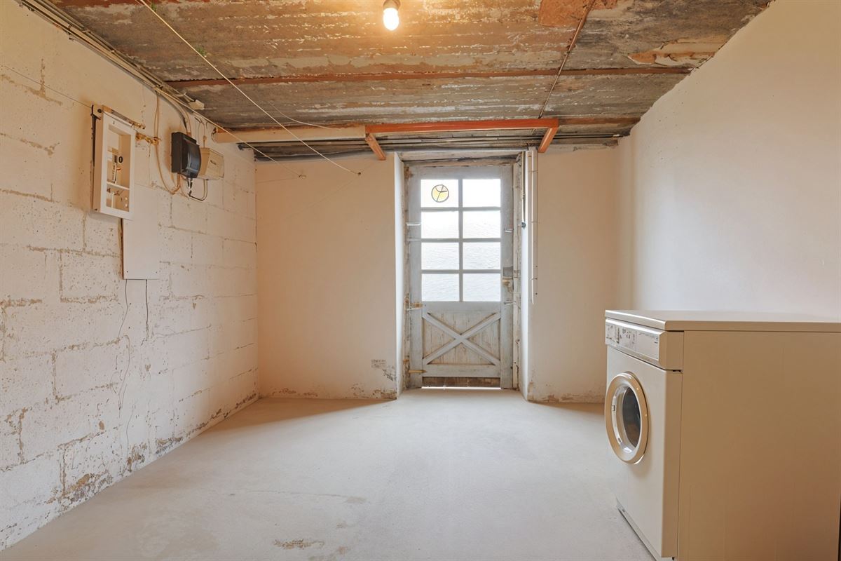 undefined-undefined-gepetto (3).jpg