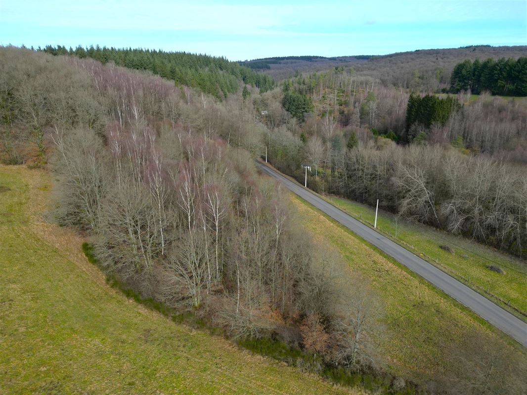 DJI_0082.JPG