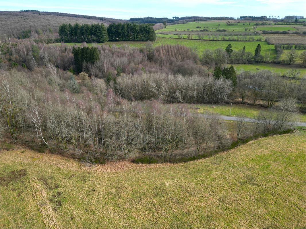 DJI_0084.JPG