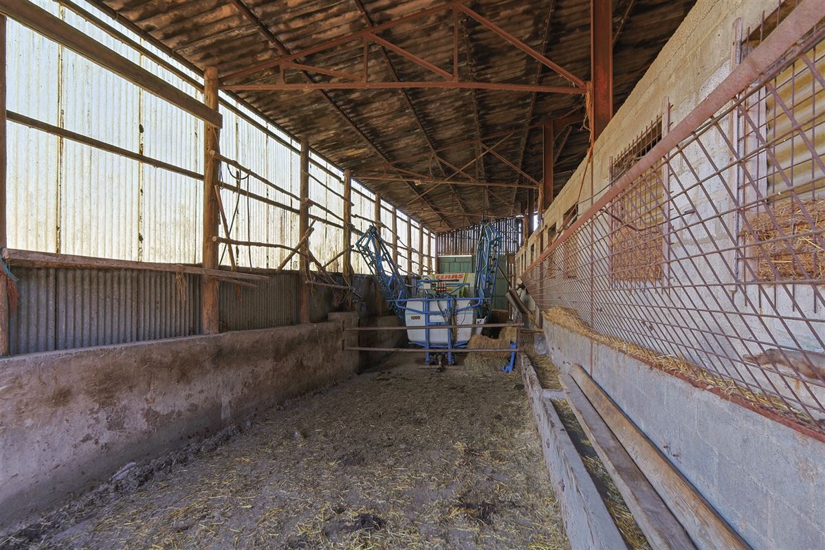 VTWELFRANCE25- (47).jpg