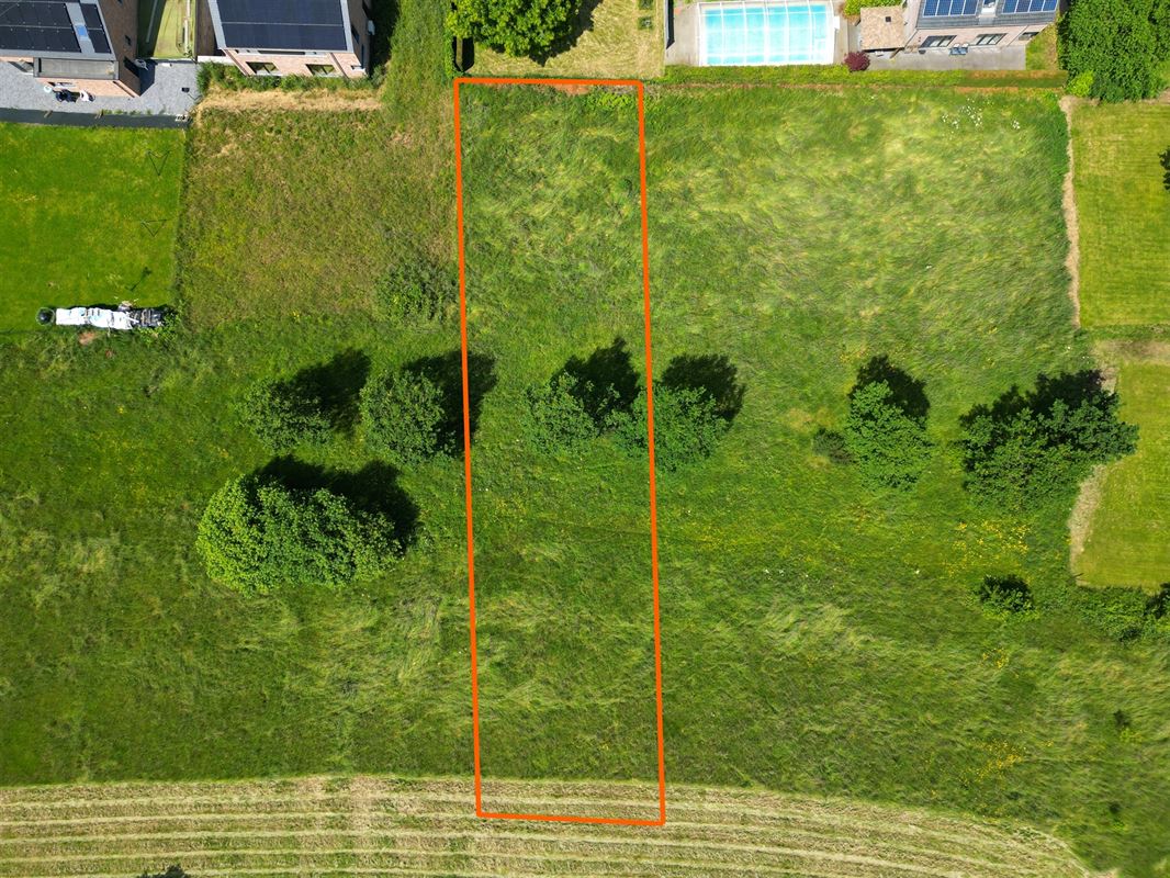 DJI_0780 uitgesneden