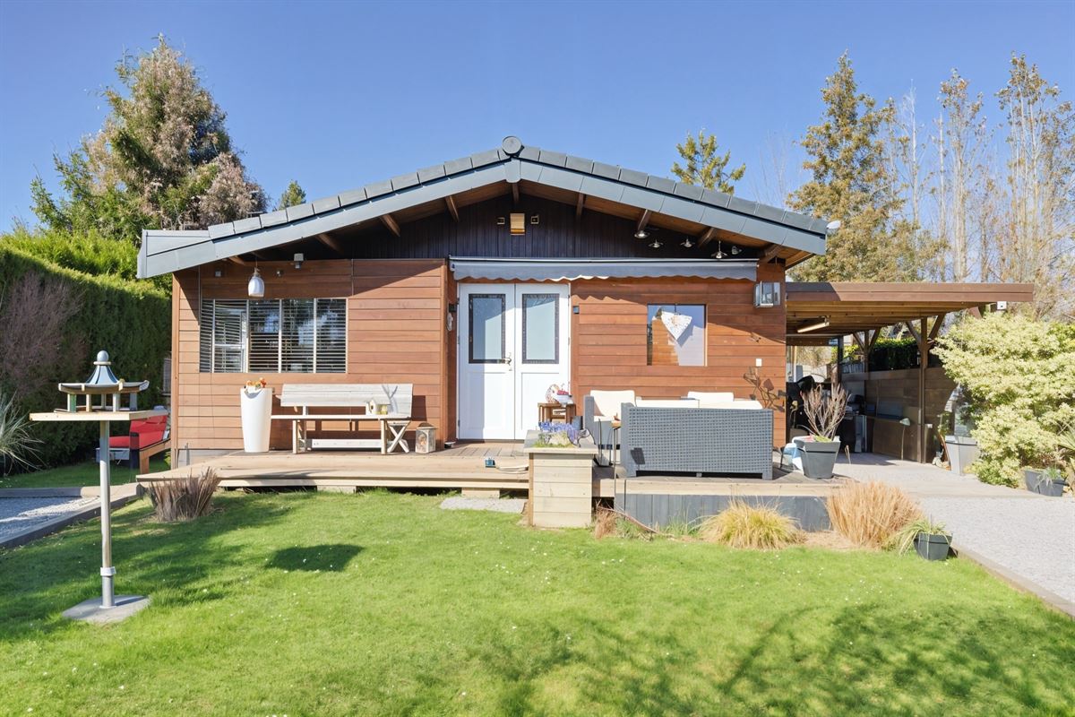 undefined-undefined-gepetto (13).jpg