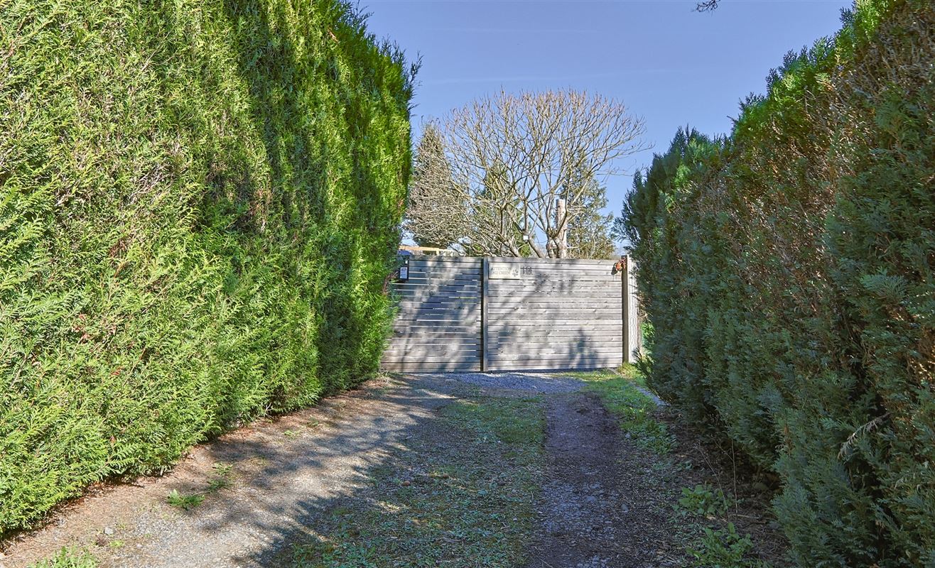 VTWELBRULINS114- (15).jpg