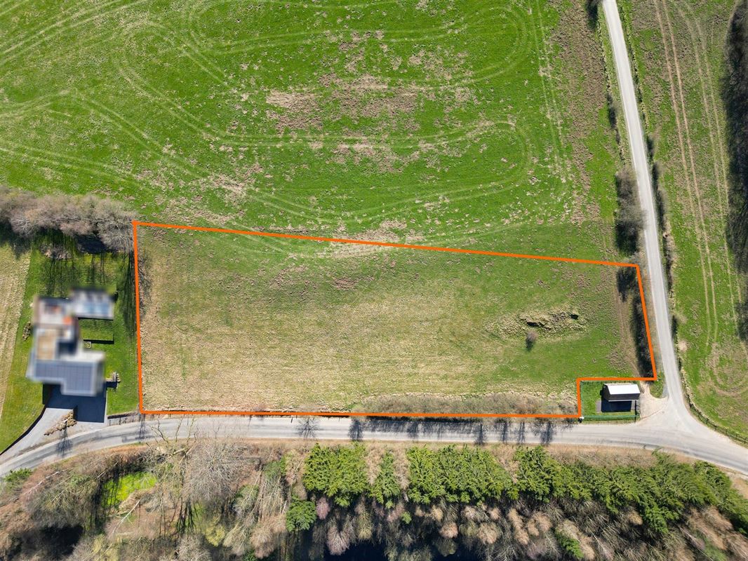 DJI_0039 dét+flou.JPG