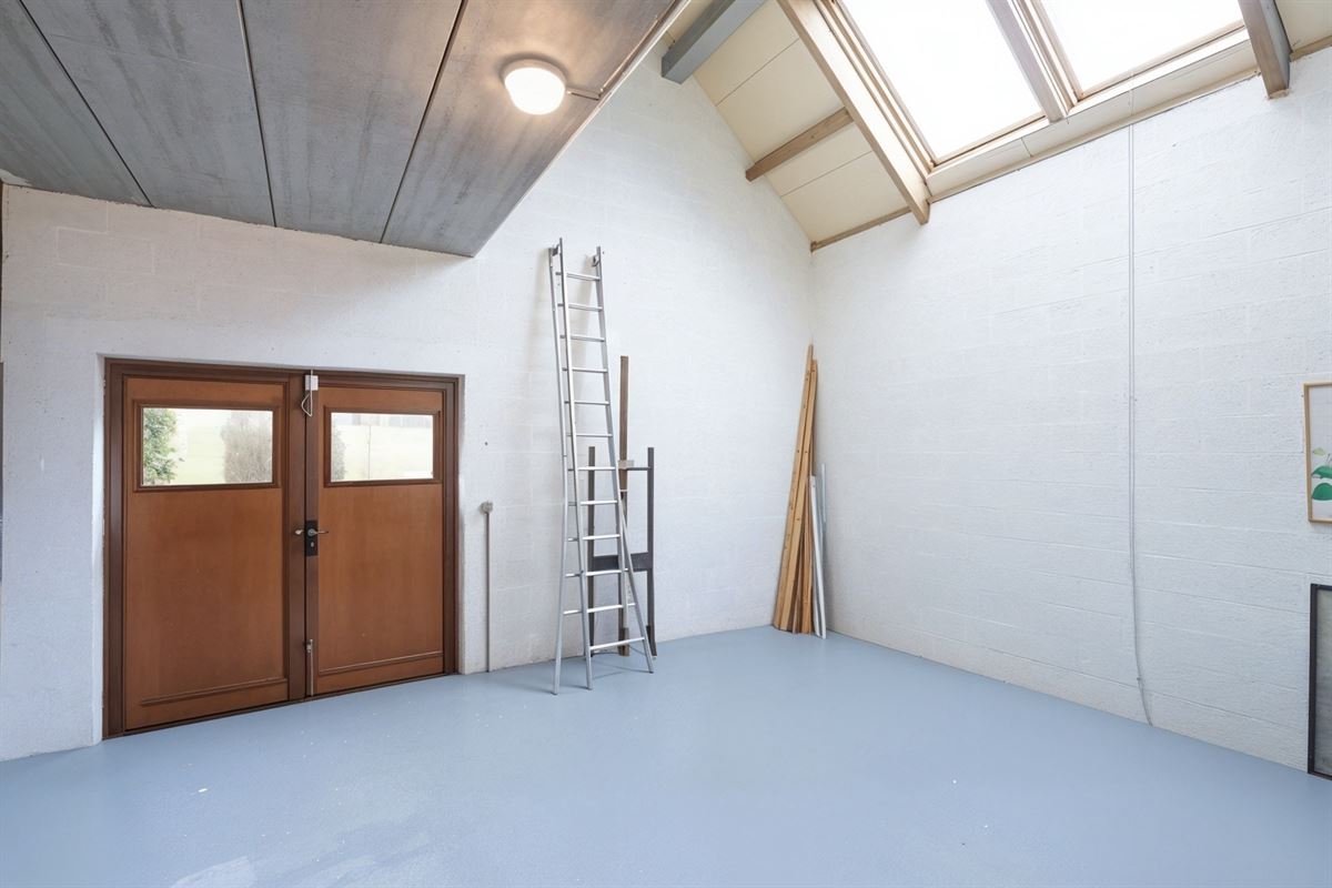 undefined-undefined-gepetto (8).jpg