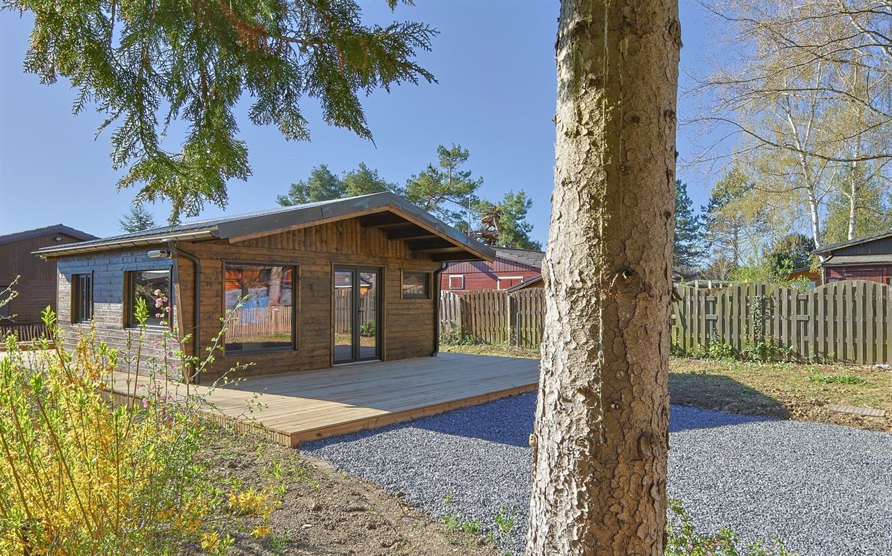 VTWELBRULINS88- (22).jpg