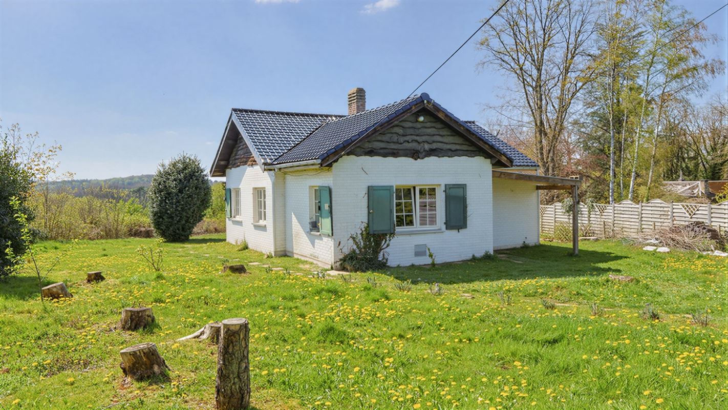 undefined-undefined-gepetto (17).jpg