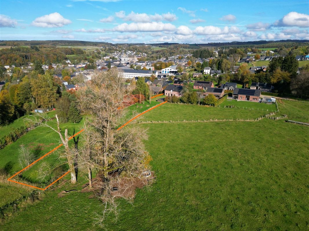 DJI_0877 détourée.JPG