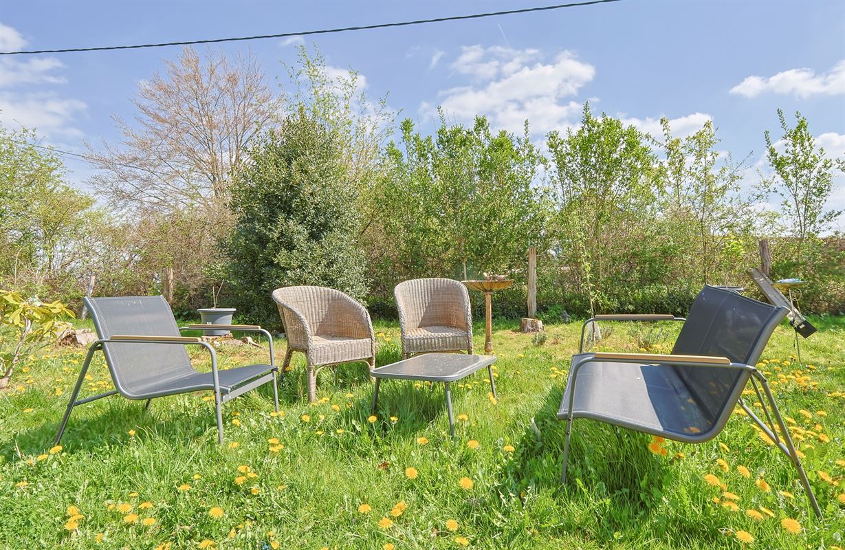 VTWELTELLIN103- (4).jpg