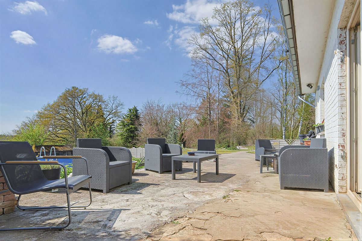 undefined-undefined-gepetto (18).jpg