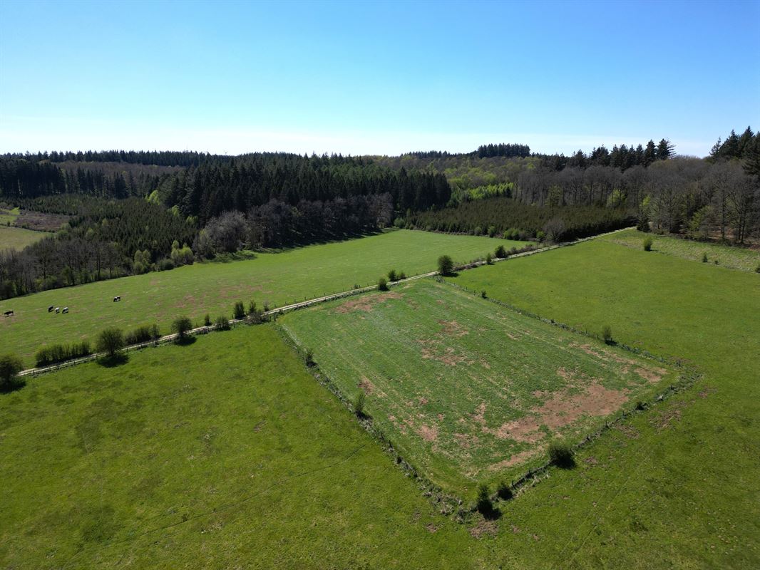 DJI_0155.JPG