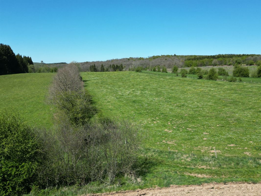 DJI_0223.JPG