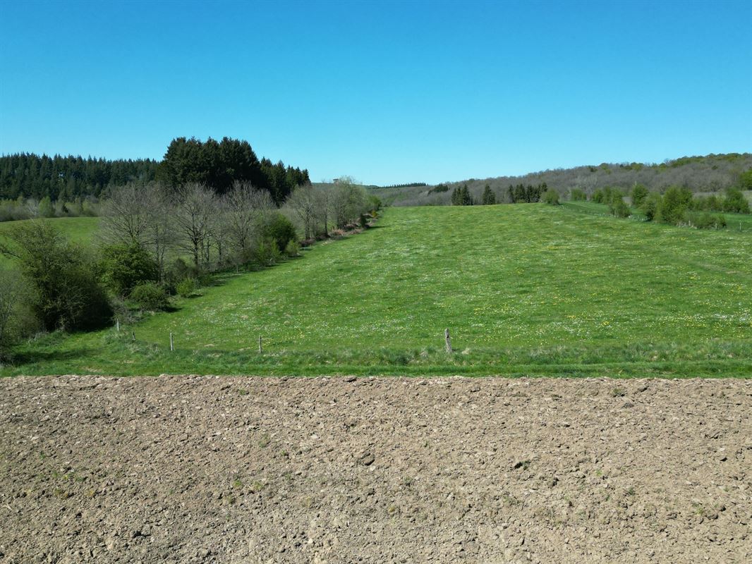 DJI_0224.JPG