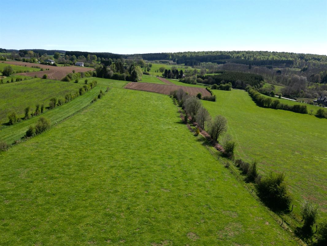 DJI_0218.JPG