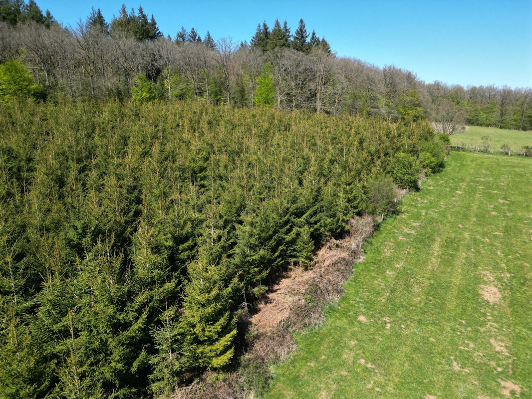 DJI_0196.JPG