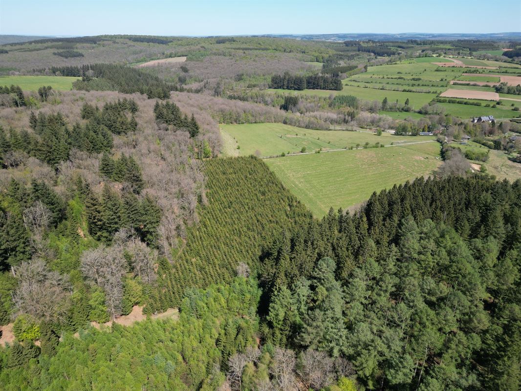 DJI_0165.JPG