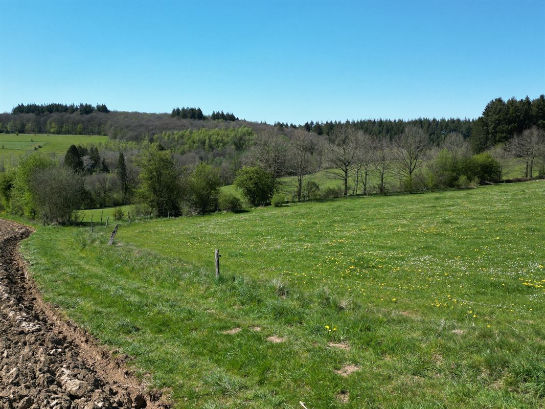 DJI_0225.JPG