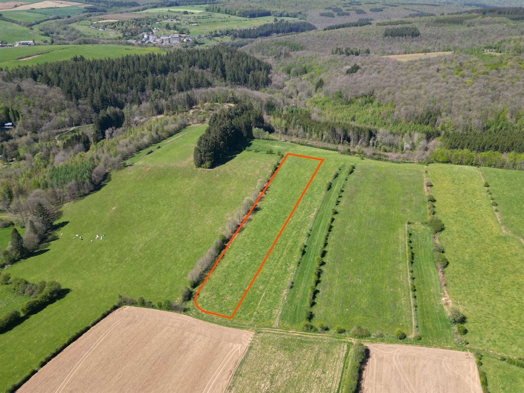 DJI_0215dét.JPG