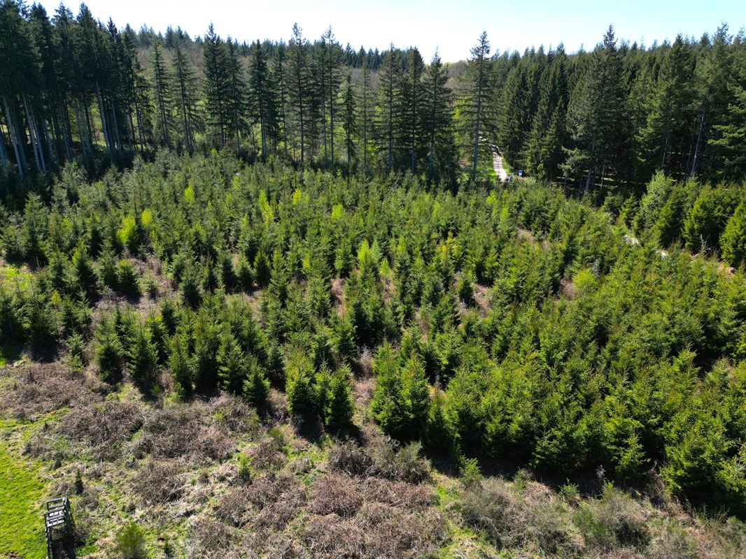 DJI_0198.JPG