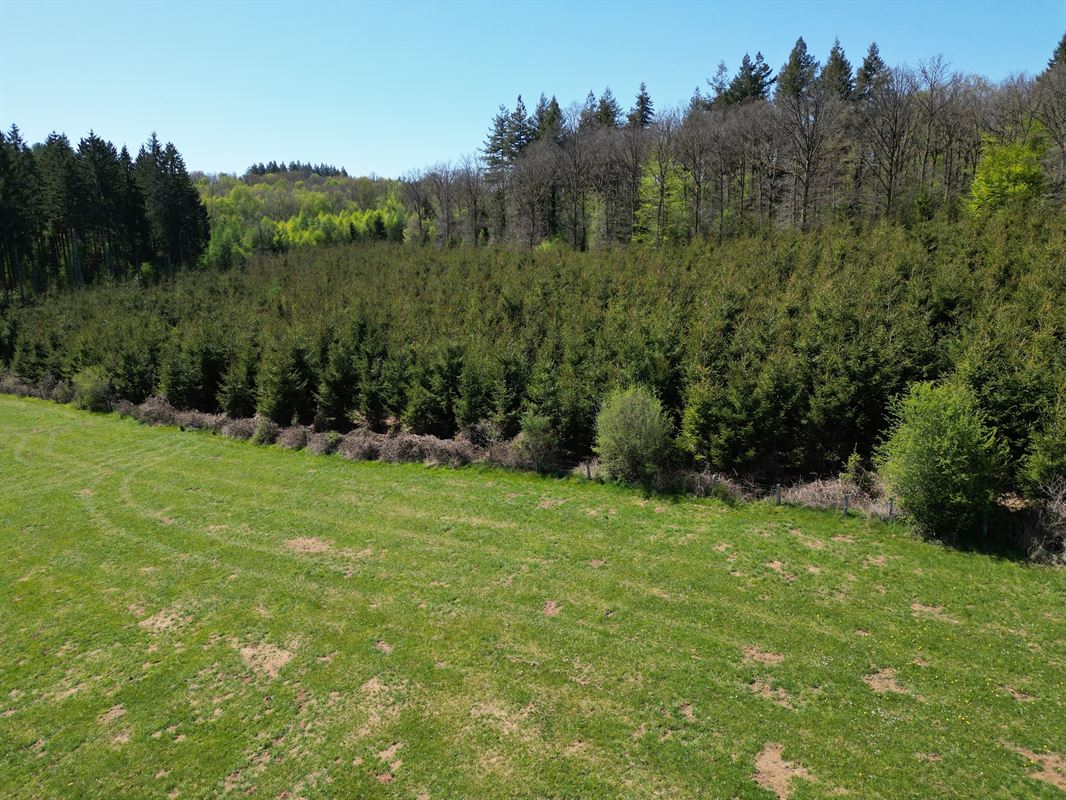 DJI_0193.JPG