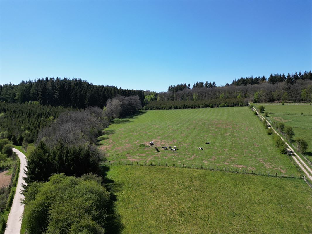 DJI_0213.JPG