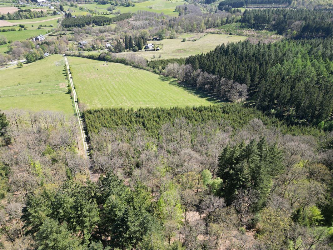 DJI_0162.JPG