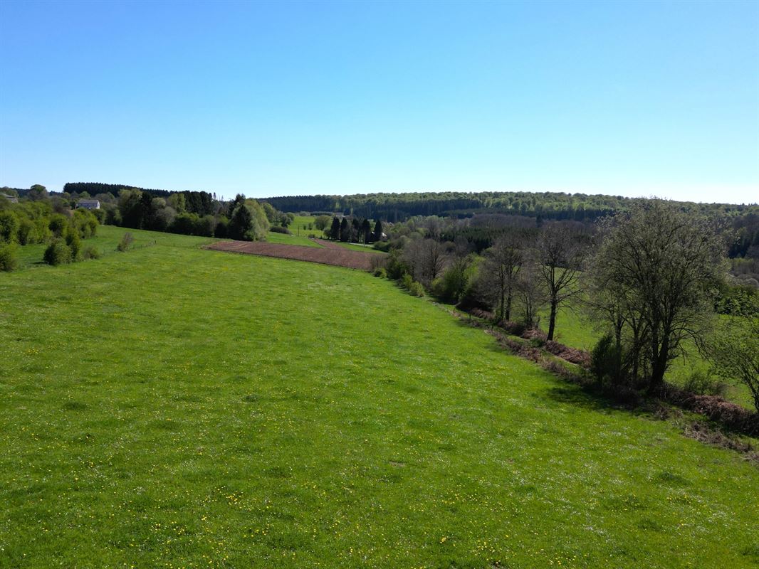 DJI_0221.JPG