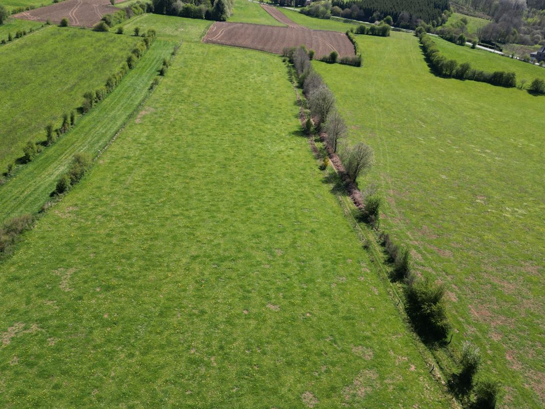 DJI_0217.JPG