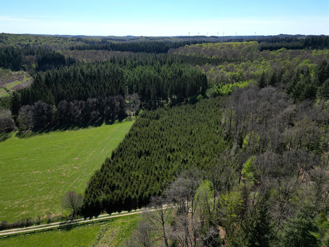 DJI_0159.JPG