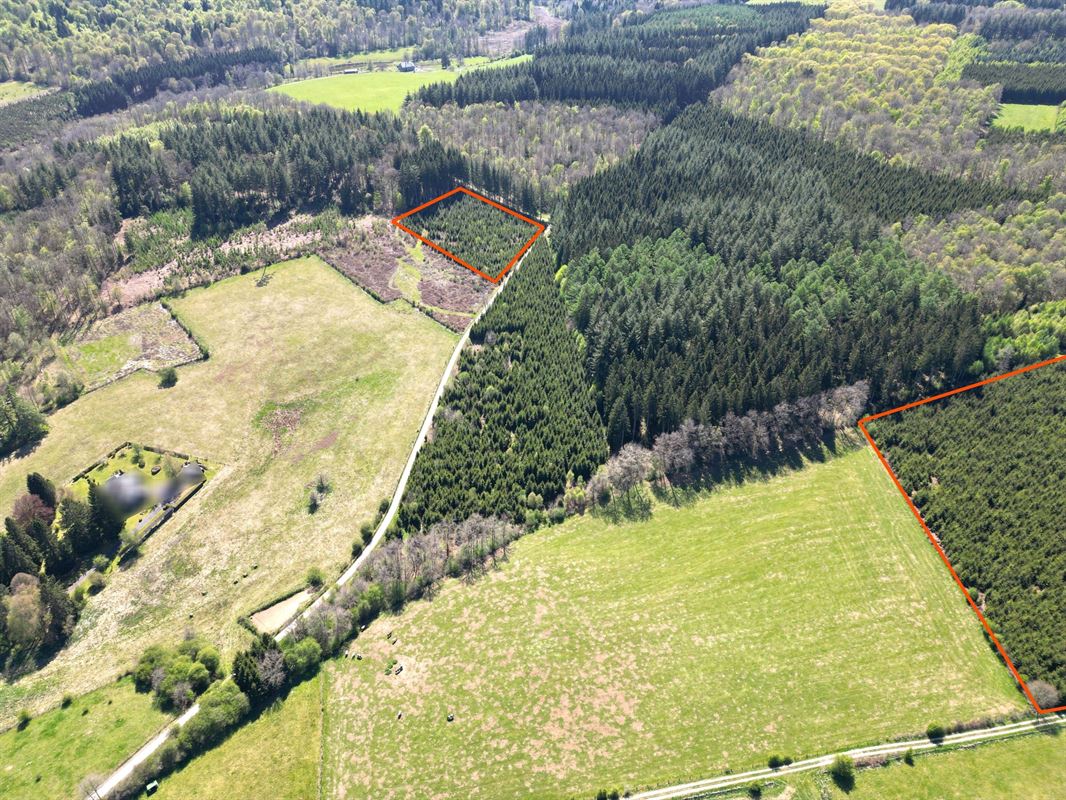 DJI_0179dét.JPG