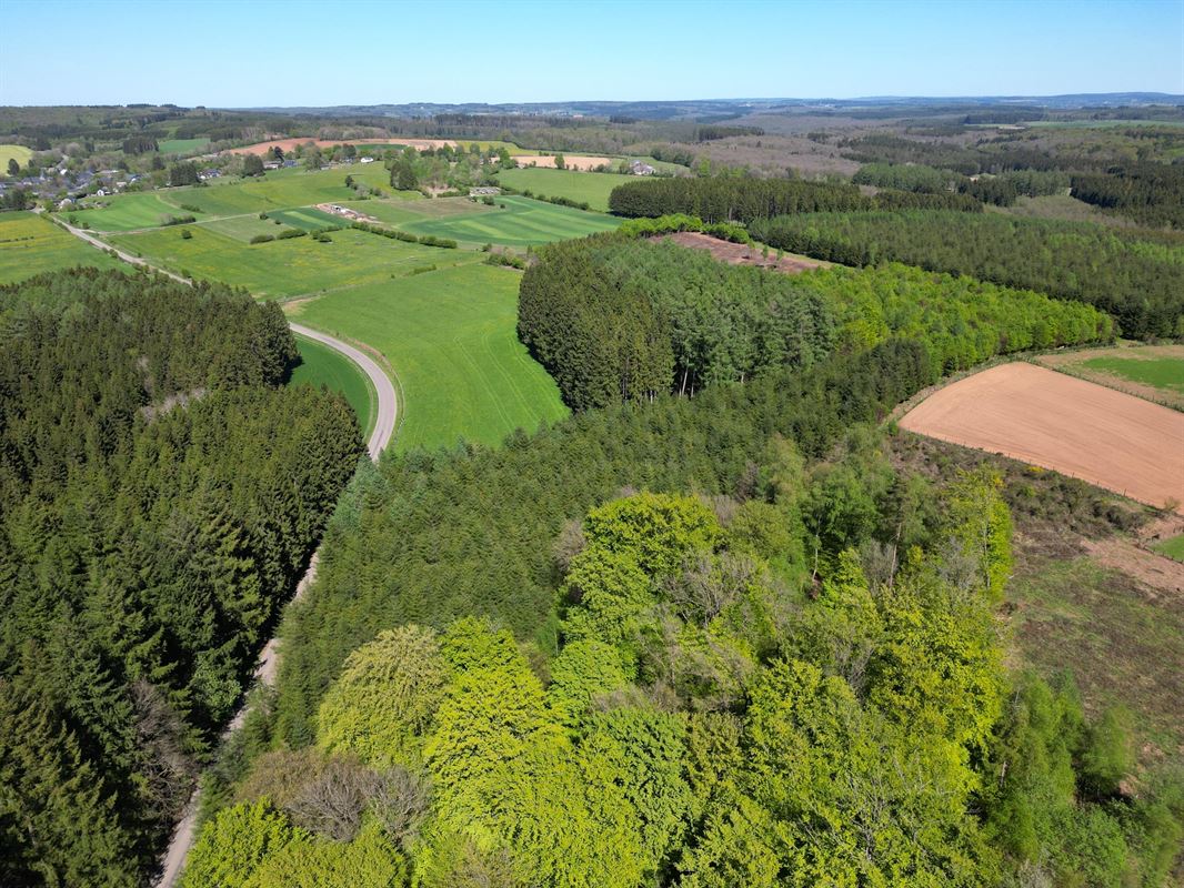 DJI_0233.JPG