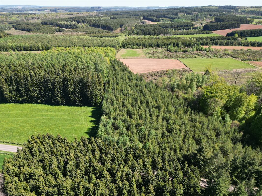 DJI_0229.JPG