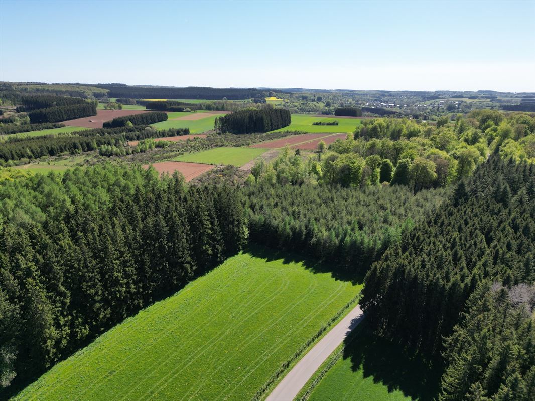 DJI_0236.JPG