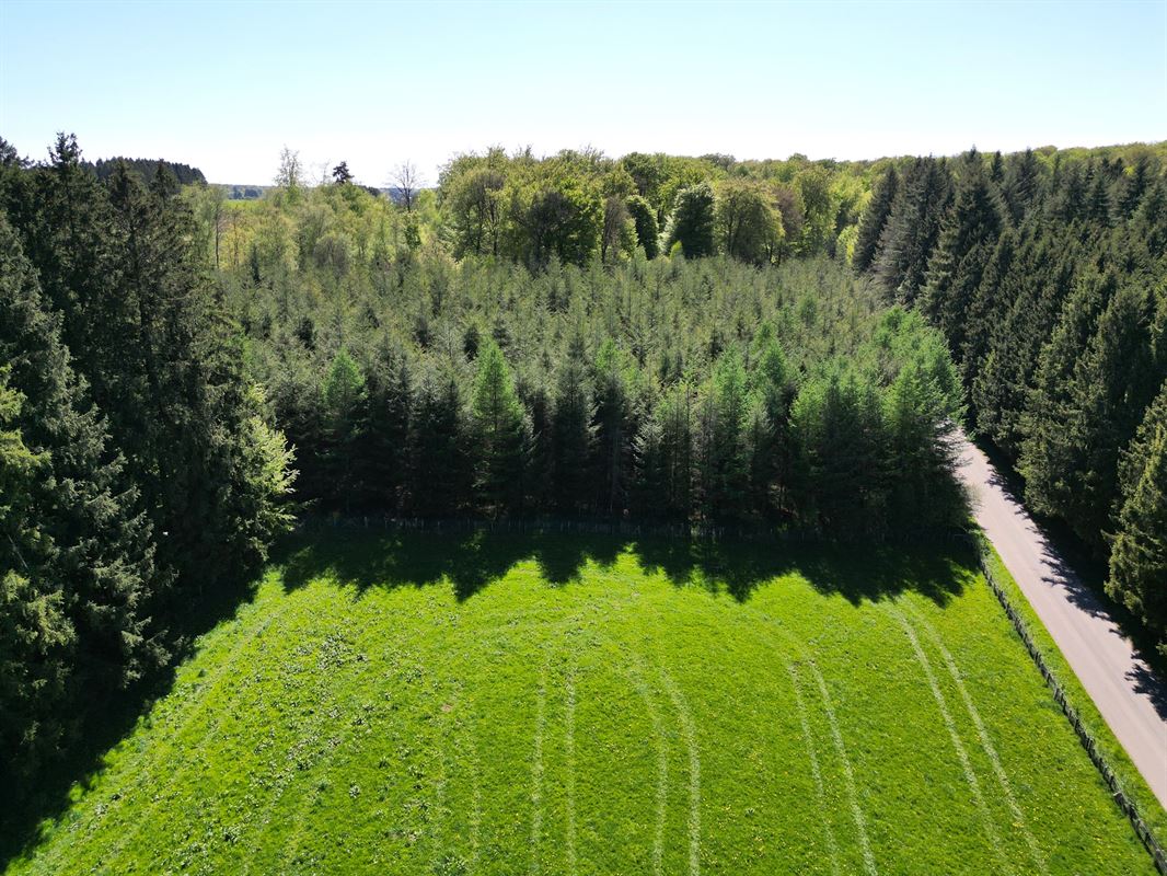 DJI_0227.JPG
