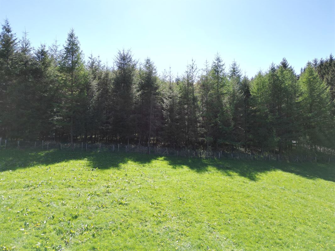 DJI_0226.JPG