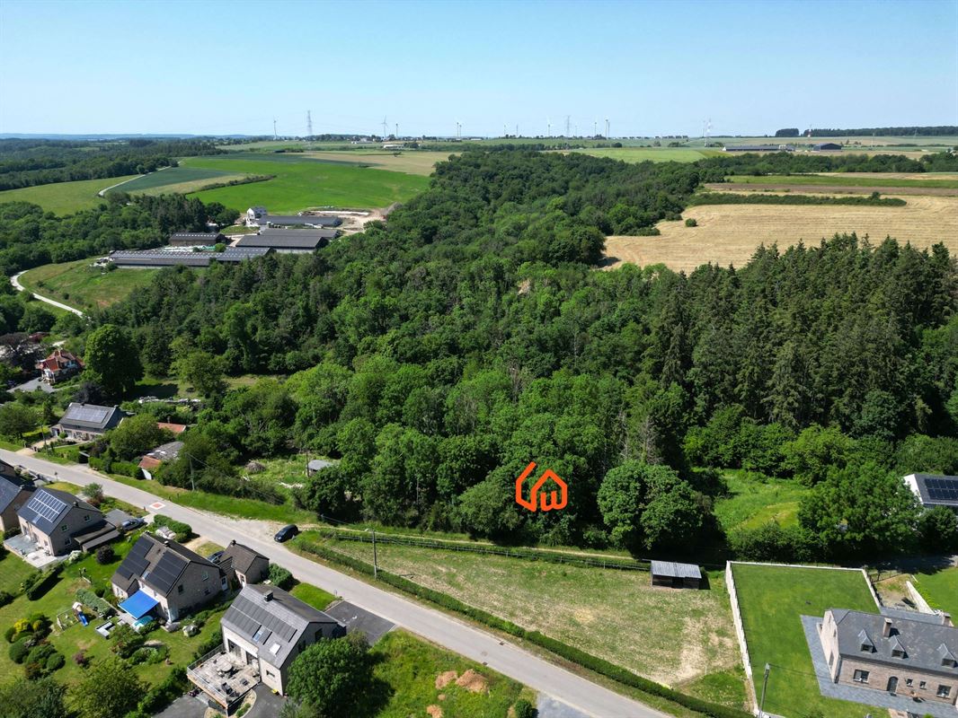 DJI_0296+w.JPG