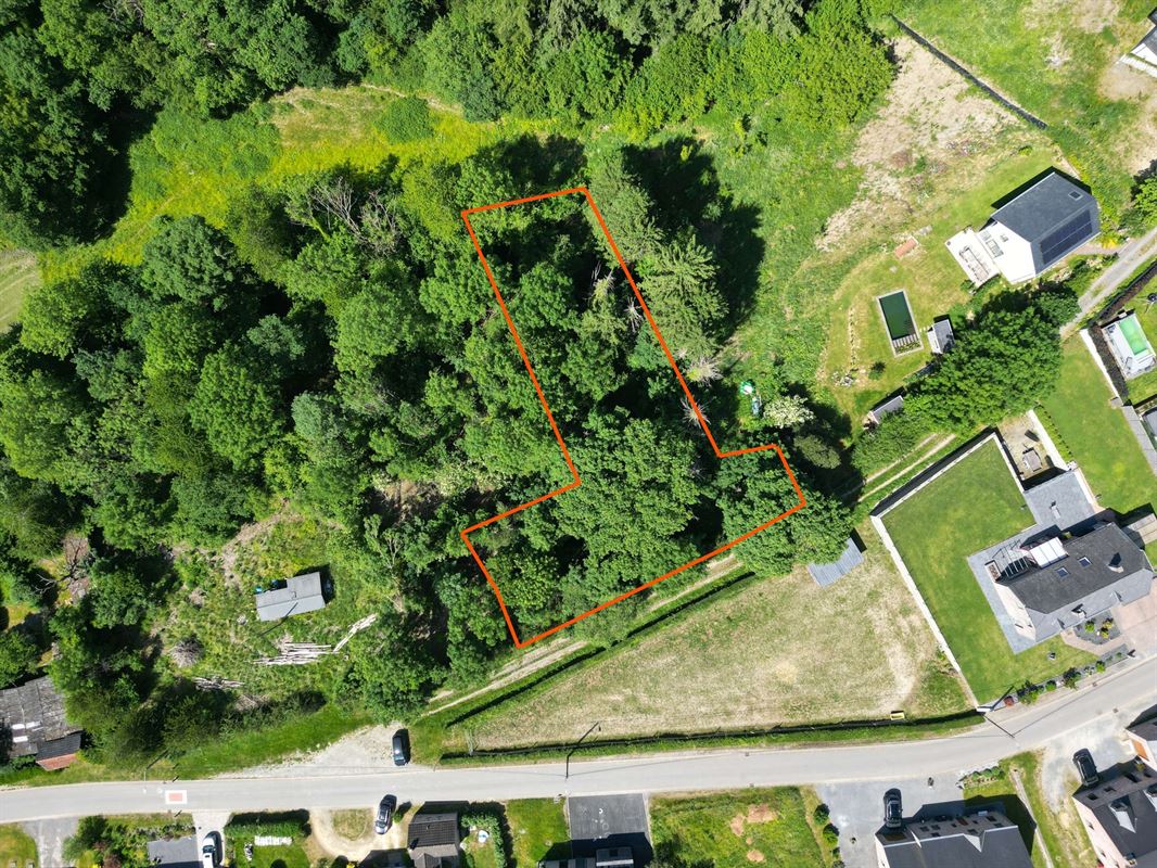 DJI_0299 dét.JPG