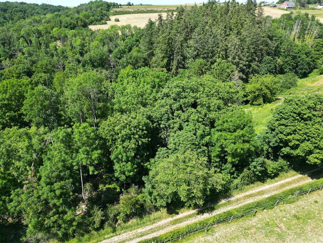 DJI_0301.JPG