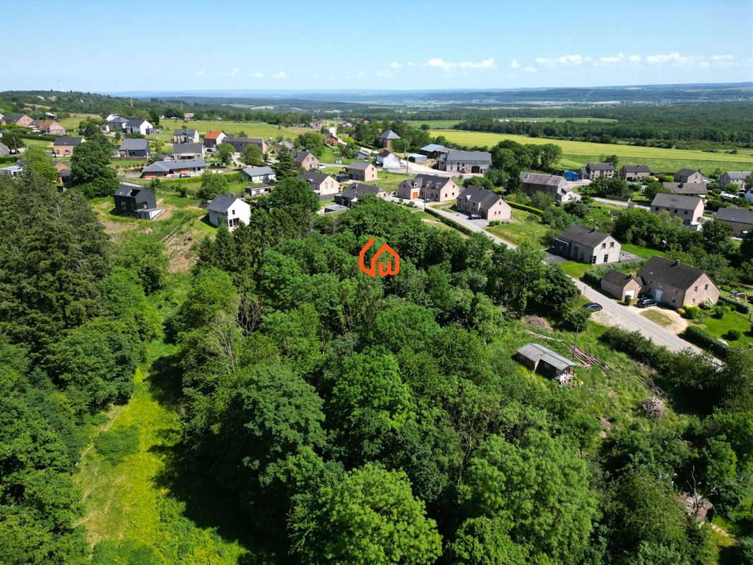 DJI_0290+w.JPG