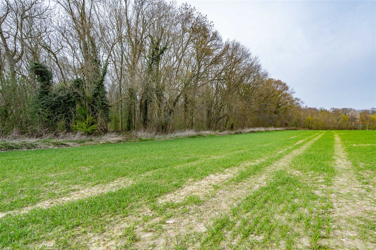 Terrain-09662