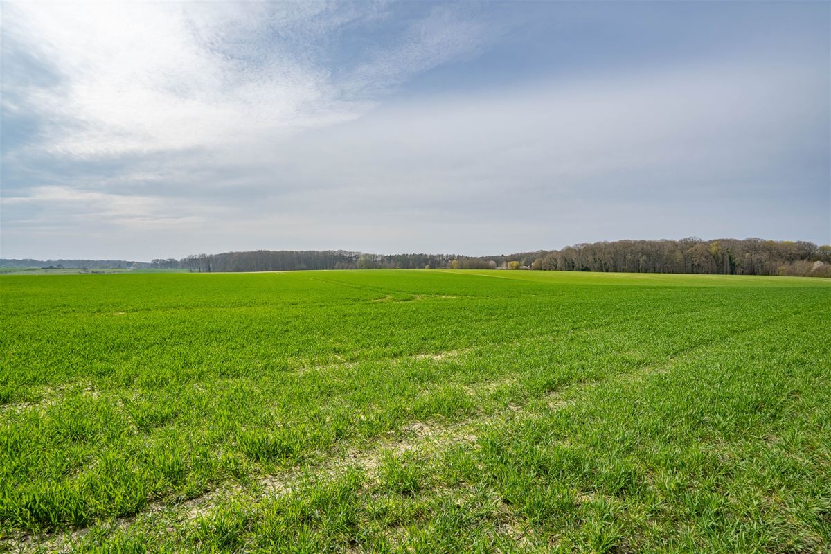 Terrain-09608