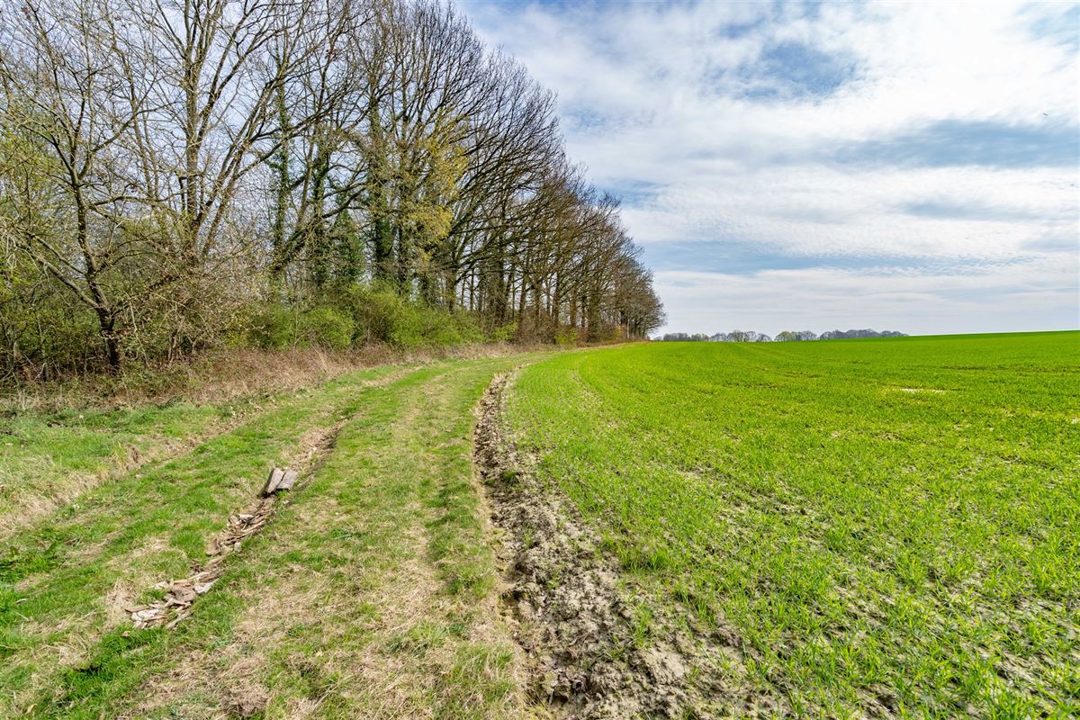 Terrain-09629